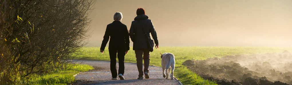 People walking after recovering from a joint replacement.